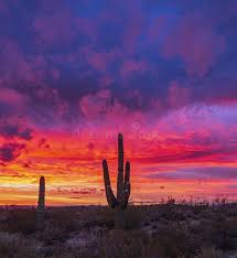 Giant saguaro southwest desert sunset by james bo insogna. Stunning Desert Sunset With Colorful Clouds Stock Image Image Of Sunsets Landscape 149390793