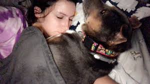 Apparently, it is a disgusting and disgraceful thing that I let my Dog  sleep