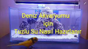 Deniz Akvaryumu Icin Tuzlu Su Nasil Hazirlanir Refraktometre Kullanimi Youtube