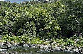 Camp Branch Trail, Virginia