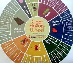 Flavor Wheel Milk Plant Flower Tea Coffee Milk