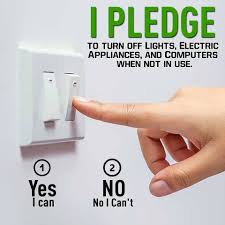 I Pledge To Turn Off Lights Electric Appliances And Computers When Not In Use Yes I Ll Try No I Can T Save Energy Electrical Appliances Save Electricity