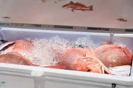 Check spelling or type a new query. 5 Best Fish To Eat In Key West Captain Conch Charters