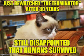 Grumpy Cat Table Meme Imgflip