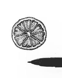 Black And White Orange Slice Citrus Slice Pen Art Drawings Stippling Art Dotted Drawings