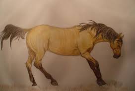 Spirit is a buckskin kiger mustang colt. Buckskin Mustang By Rikanythe On Deviantart