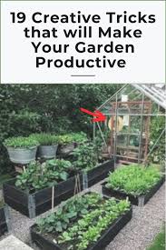 Vegetable gardens, more than any other garden plants, need a lot of attention and care to flourish. 19 Gardening Ideas For Beginners Vegetable Garden Design Vege Garden Design Home Vegetable Garden