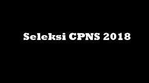 Kisi Kisi Soal Seleksi Kompetensi Bidang Skb Cpns 2018 Menurut Bocoran Bkn Tribun Jogja