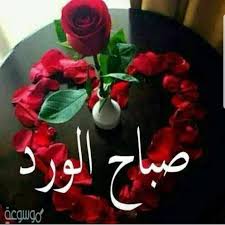 عشرة دروس عظيمة يمكنك تعلمها من ورود متحركة مكتوب عليها ورود متحركة مكتوب عليها christmas ornaments holiday decor holiday