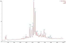 Image result for Kalaharia uncinata