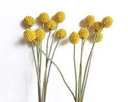 See more ideas about floral, flowers, dried flowers. Where To Get Artificial Flowers That Actually Look Real Architectural Digest