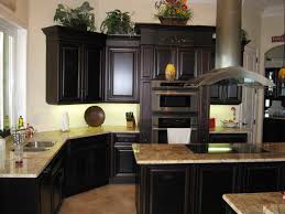Cabinets can be painted any color, depending on the style and décor of the kitchen. Amazing Small Kitchen Designs With Black Appliances Cabinet Color Ideas Algarve Laurelinekoenig