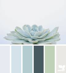 Succulent Hues Seeds Color Home Decor Colors Nature Color Palette