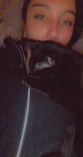 Lost Cat in Kentwood, Michigan