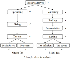 The Flow Chart Of Traditional Manufacturing Process Of Green