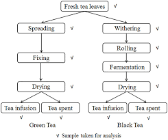 the flow chart of traditional manufacturing process of green