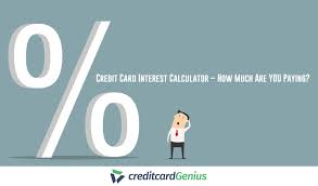 Which is best for you? Credit Card Interest Calculator How Much Are You Paying Creditcardgenius