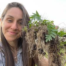 Mohawk Valley Plant Medicine Network