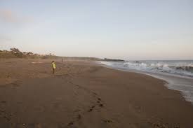 Come join us at our quiet family campground to enjoy the sun and sand during the day and beautiful scenery at night. Wright S Beach Campground Sonoma Coast State Park Bodega Bay California Womo Abenteuer