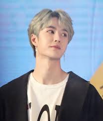 Drama, horror, science fiction, thriller. Wang Yibo Wikipedia