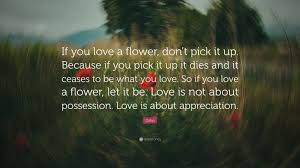 Osho (also known as rajneesh) was an indian public speaker and a guru. Osho Quote If You Love A Flower Don T Pick It Up Because If You Pick It Up It Dies And It Ceases To Be What You Love S Osho Quotes Buddha