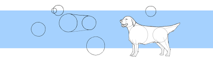 You opt to play around the collar of the dog, like here, i've used. How To Draw A Dog Step By Step Wacom