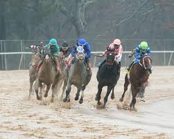 A horse bred and trained essential american english. Champion Essential Quality Returns A Winner In Southwest America S Best Racing