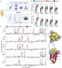 Antibody responses to endemic coronaviruses modulate COVID-19 convalescent  plasma functionality
