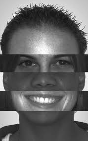 Journal of the National Collegiate Honors Council -- Volume 6, no. 1 --  Complete Issue