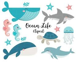 Ocean Life Clipart Shark Whale Jellyfish Dolphin Sea Etsy Clip Art Ocean Life Shark Pictures