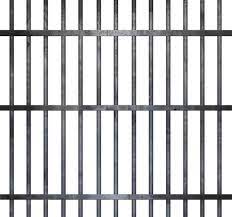The Climax Of The Story Is Maddie Is Told By Her Parents They Are Sending Her To A Detention Center But She Escapes On The Way There Jail Bars Jail Cell