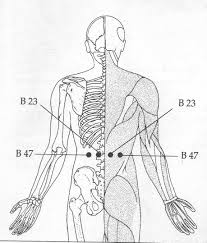 B23 And B47 Kanjo Acupressure Pain Relief The Natural Way