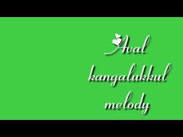 Morattu Single Hip Hop Tamizha Tamil Song Lyrics Green Screen Whatsapp Status Video Youtube Tamil Songs Lyrics Love Songs Lyrics Youtube Songs