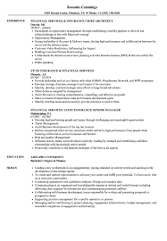 Financial Services Insurance Resume Samples Velvet Jobs
