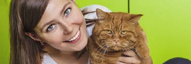 We are a locally owned small animal practice serving the north shore of massachusetts. North Shore Veterinary Hospital Reviews Ratings Veterinarians Near 7 Dr Osman Babson Rd Gloucester Ma