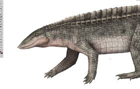 View aetosaurs research papers on academia.edu for free. Gabriel N U On Twitter Wip Aetosaurs The Tanks Of The Triassic Paleoart Sciart