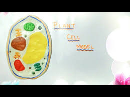 It is extremely easy and fun to make a plant cell model, provided you have all the parts labeled and ready. How To Make Plant Cell Model With Slime And Clay For Science School Projects Youtube