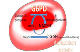 Image result for G6PD Deficiency