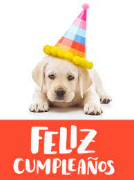 Dog Happy Birthday Card In Spanish Feliz Cumpleanos Birthday Greeting Cards By Davia Happy Birthday Fireworks Happy Birthday Cards Pink Happy Birthday