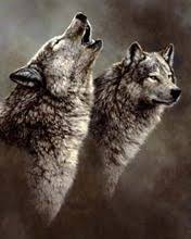 81075 handy wallpapers 32982 kunst 36678 bilder 80084 avatars 77763 gifs 81075. Handy Und Smartphone Forum