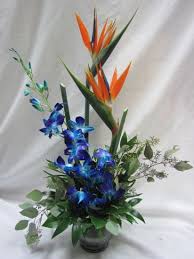 Pin By Frankie Hartwell On Tropicals Blue Orchids Flower Arrangements Orchids