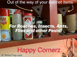 A Diy Pest Control Sticky Trap For Pests Roaches Insects Spiders Ants Flying Insects Glue Board Diy Pest Control Glue Traps Sticky Glue