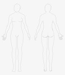 See more ideas about human body diagram, body diagram, drawings. Humanbody Female Blank Human Body Png Image Transparent Png Free Download On Seekpng