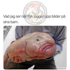 Ahead swedish prime minister stefan löfven's visit to saudi at the end of last month. Facebook