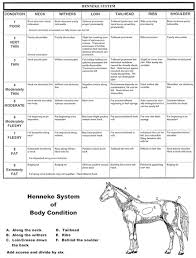 body condition scoring for horses the equine nutrition nerd