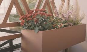 Rankende pflanzen als sichtschutz auf dem balkon 2. Balkon Sichtschutz Mit Pflanzen Schnellwachsend Winterhart