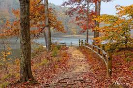 Autumn Landscape Fall Landscape Farmhouse Decor Farmhouse Etsy Autumn Landscape Landscape Farmhouse Art