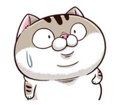 Pin On Meowcos