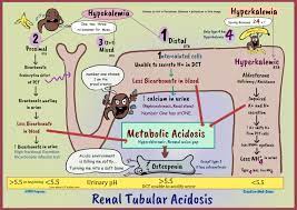 The acidification defect is mainly caused by impaired ammoniagenesis and is characterized. Renal Tubular Acidosis Types And Pathology Creative Med Doses