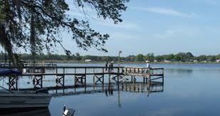 Johns and ocklawaha rivers 35 miles east of ocala in the ocala national forest. Elite Resorts Family Friendly Rv Parks In Salt Springs Or Orlando Florida And Preston Connecticut